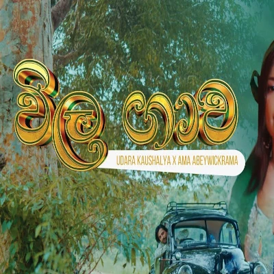 Download Vila Gawa - Udara Kawshalya | Ama Abeywickrama Mp3 Song for free. Latest Sinhala music available on SriTune.